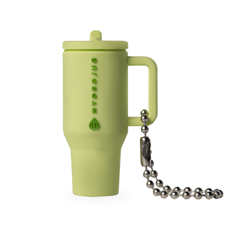 Traveler Keychain | Silicone Mini Traveler Metal Chain