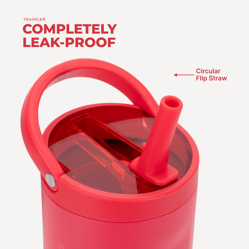 Sport 20oz | Insulated Water Bottle Leakproof Flip Straw – Fruit Punch