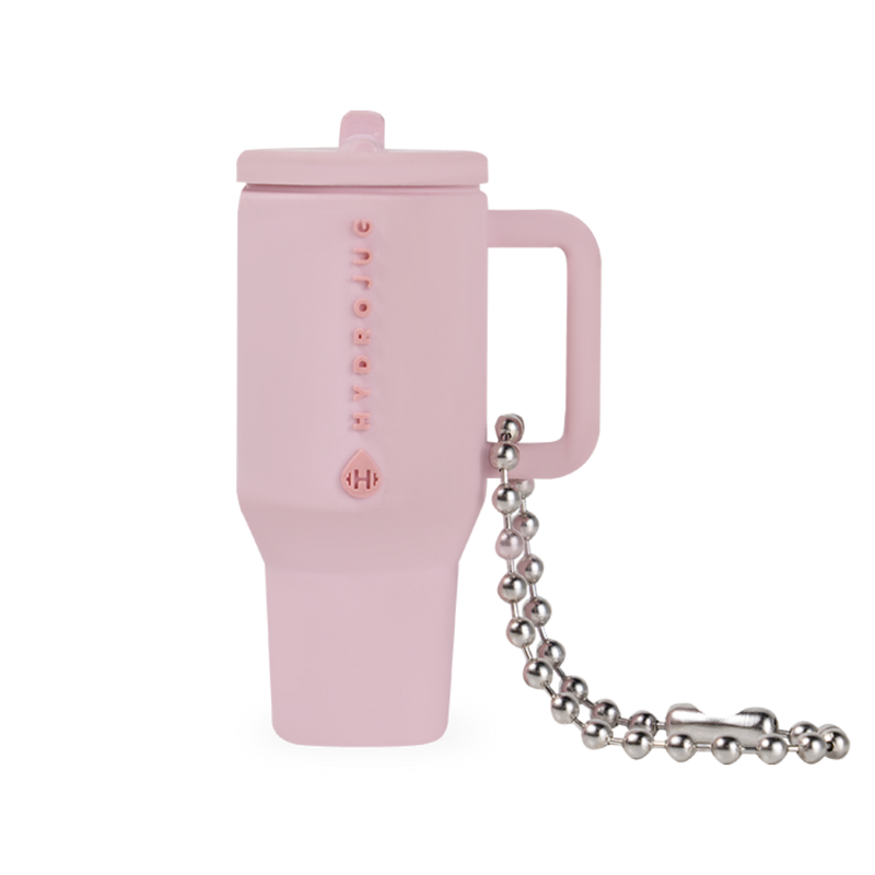 Traveler Keychain | Silicone Mini Traveler Metal Chain
